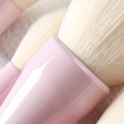 Gradient Color Pro 14pcs Makeup Brushes Set